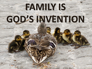 Family-Is-Gods-Intention